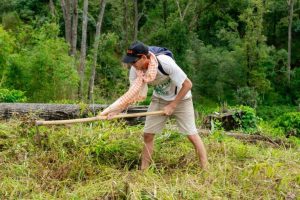 plantation lors du voyage au Vietnam