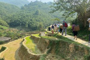 randonnée dans le Nord du Vietnam