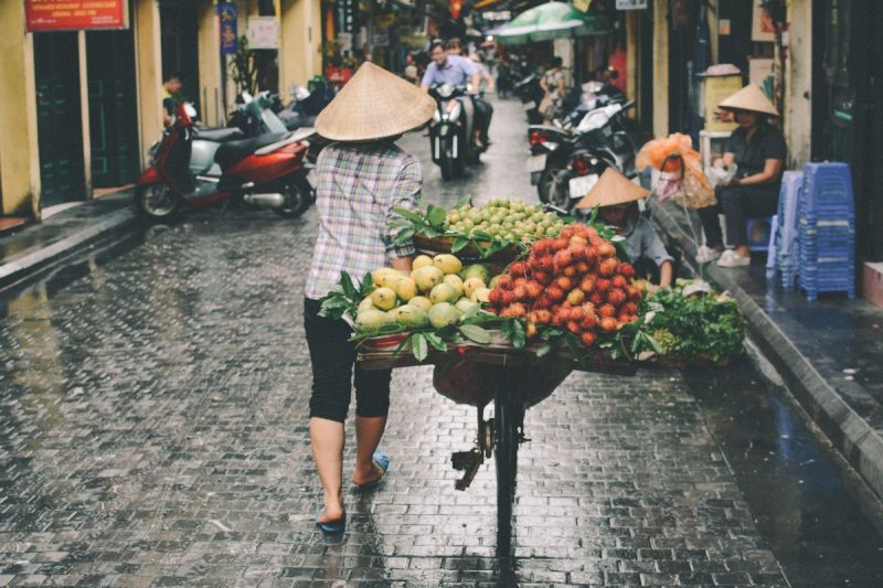 Besucher Hanoi – Reise über die Grenzen Nordvietnams