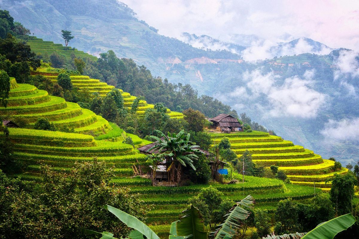 Mu Cang Chai: die schönste südvietnamesische Region