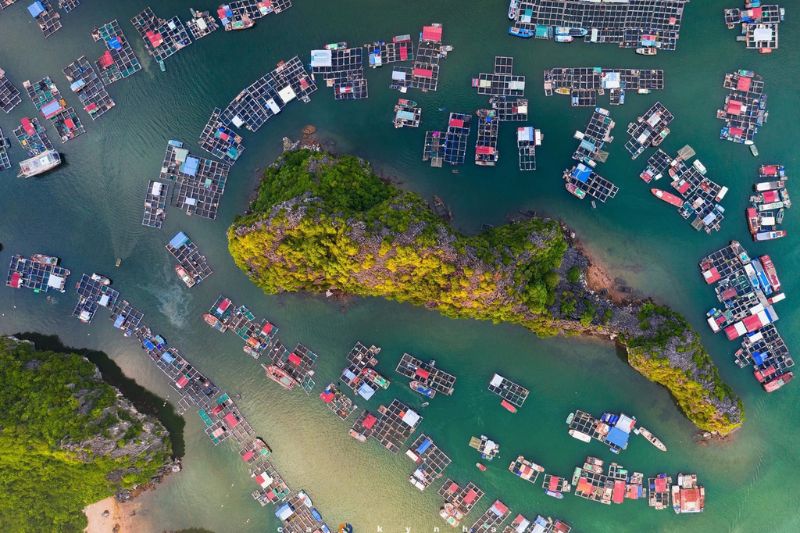 Cai Beo au Cat Ba – eines der größten alten Fischerdörfer Vietnams