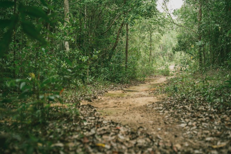 Nationalpark Phu Quoc – Trekking