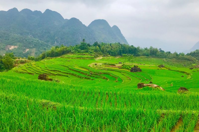 Pu Luong ist das größte Naturreservat im Norden Vietnams.