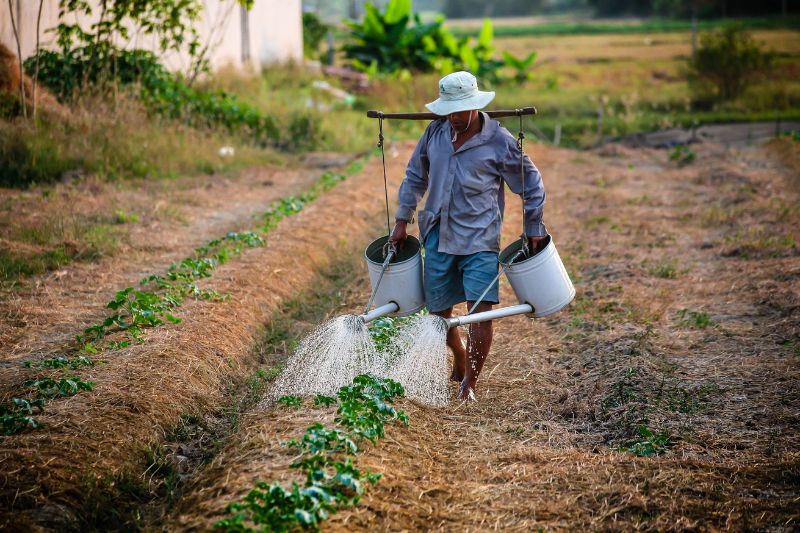 Trinkwasser aus Vietnam