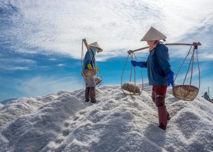 marais-salants-de-hon-khoi-a-nha-trang-sont-lun-des-plus-grands-producteurs-de-sel-du-centre-du-vietnam-1