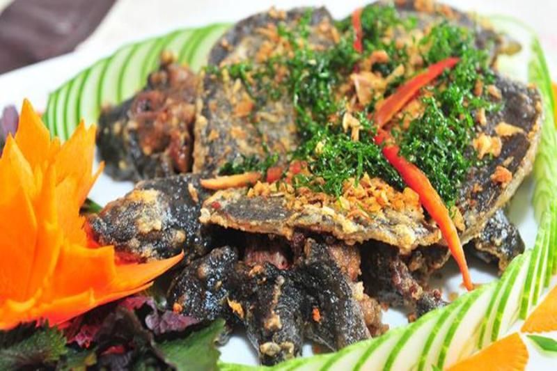 viande-de-tortue-molle-est-dans-la-liste-des-plats-vietnamiens-insolites-1