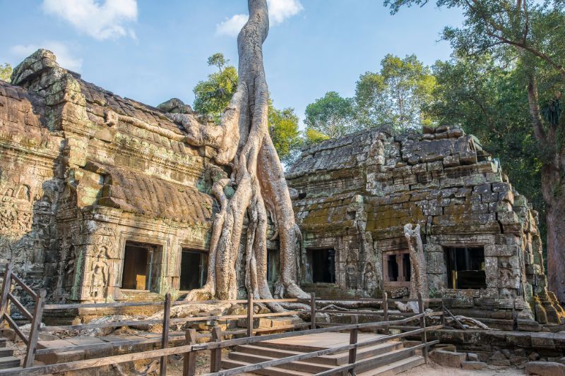 ta prohm tempel in kambodscha