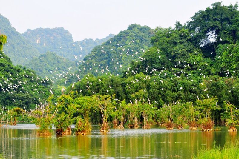 der vogelgarten von thung nham wird in die „top 7 der ökotouristischen reiseziele im jahr 2023“ aufgenommen