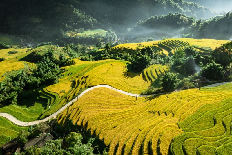 herbst in sapa