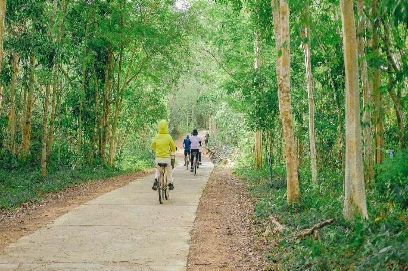 Radfahren im Cat Tien Nationalpark (bach hoa xanh)