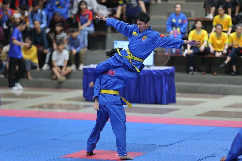 vovinam einnehmen