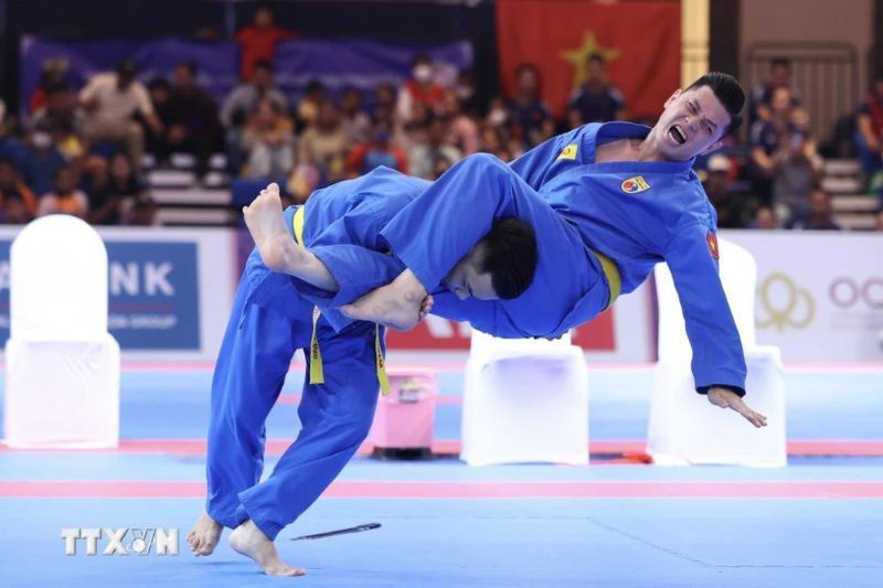 vovinam-vietnamplus-stecker