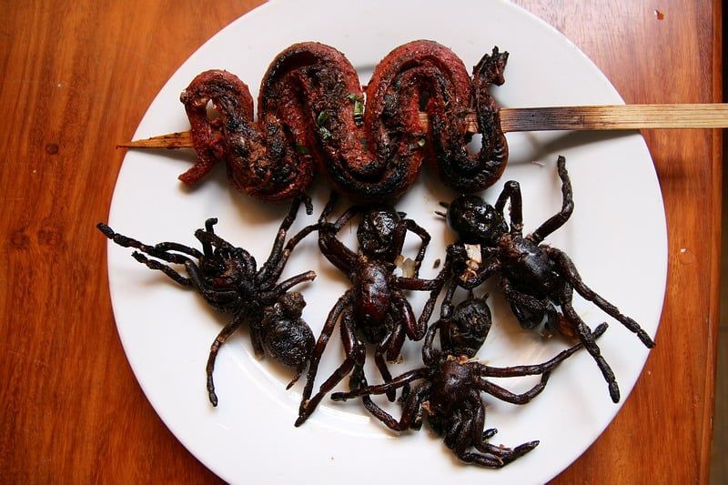 wie wäre es, wenn du diese insekten auf dem markt in skun, kambodscha, essen würdest