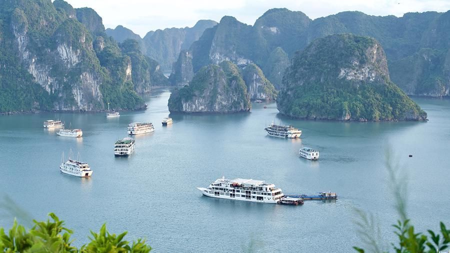 die halong-bucht in vietnam wird offiziell gastgeber des festivals art for climate 2025 sein