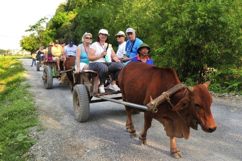 ochsenkarren in ninh binh