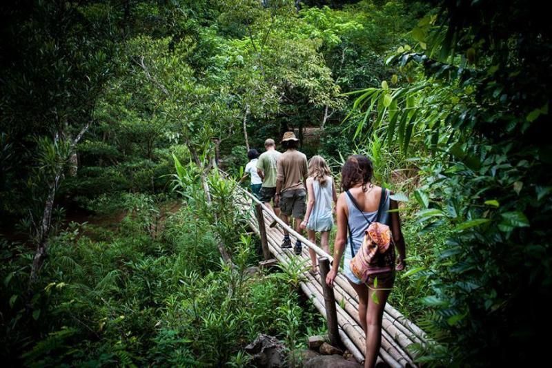 trekking durch den wald zur phong nha höhle in quang binh