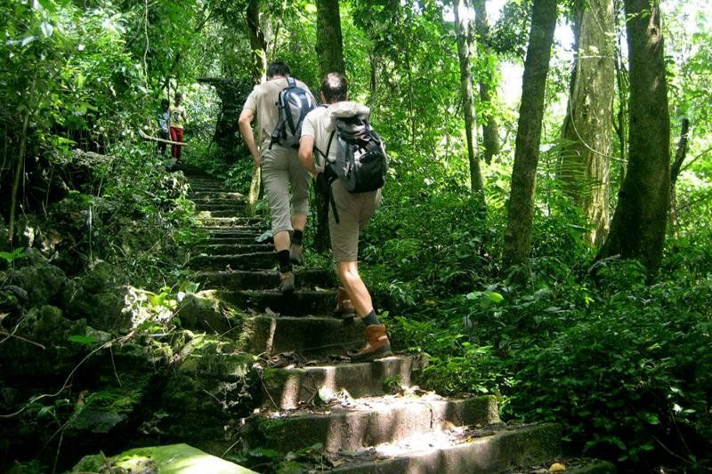 trekking im wald