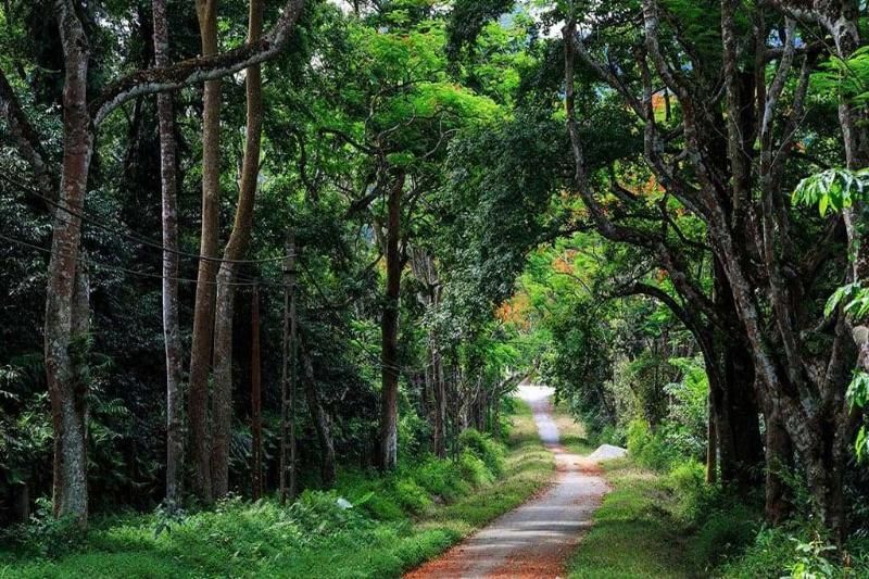 ba vì nationalpark