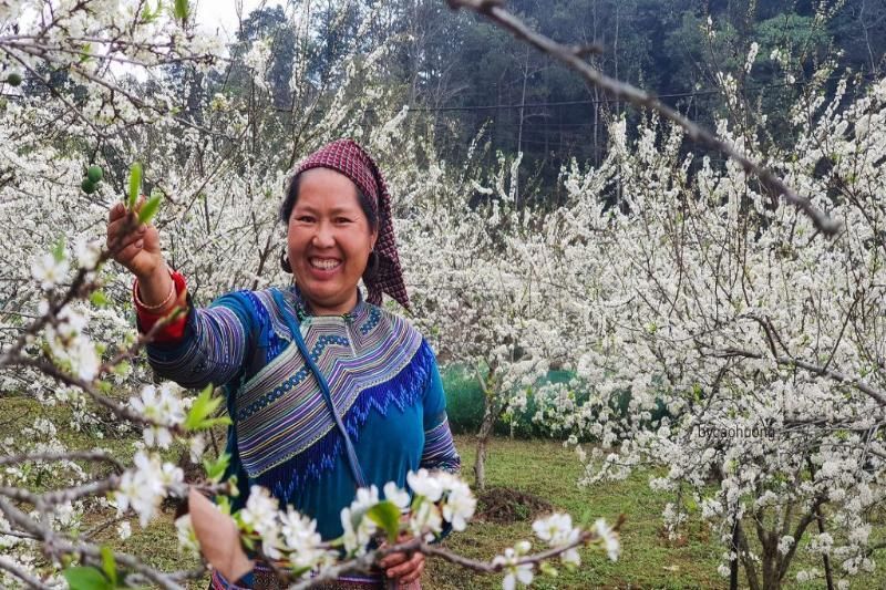 bac ha. in nordvietnam