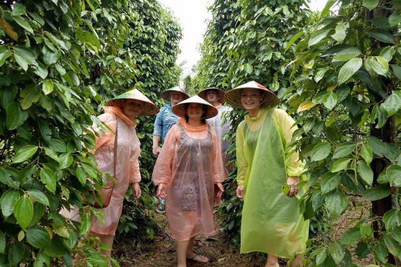 besuch der pfefferfarm in phu quoc