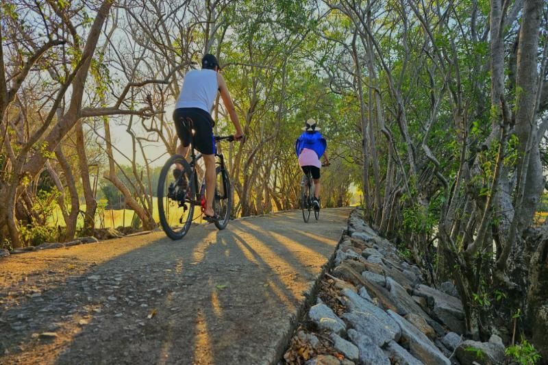 fahrradfahren im ru-cha-wald in hue