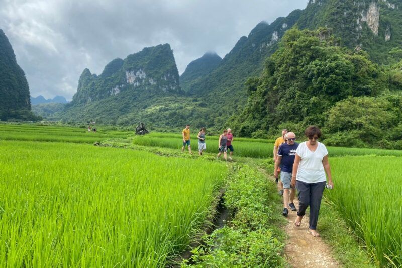 wandern inmitten von reisterrassen