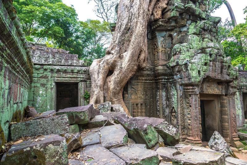 die magische schönheit des ta prohm tempels