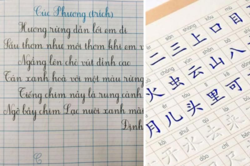 die vietnamesische sprache und die chinesische sprache