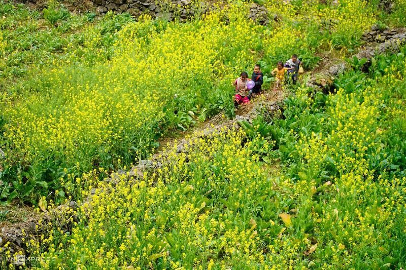 meo vac ha giang mit den kindern