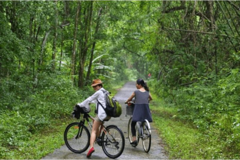 mit dem fahrrad durch den wald