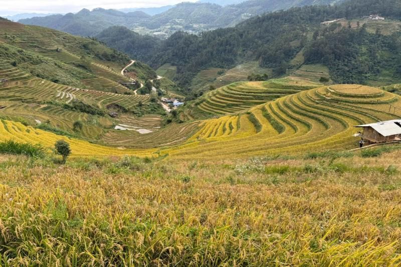 nordvietnam rundreise mit aucoeurvietnam