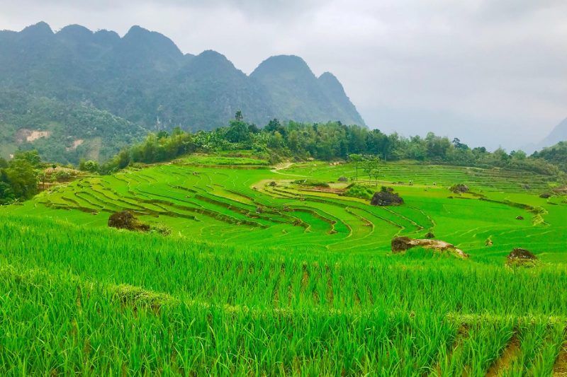 pu luong ist das größte naturschutzgebiet in nordvietnam