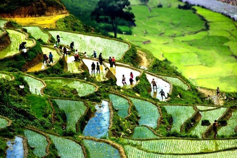 trekking sapa ma tra ta phin im mai, um das reisfeld vom wasser aus zu bewundern