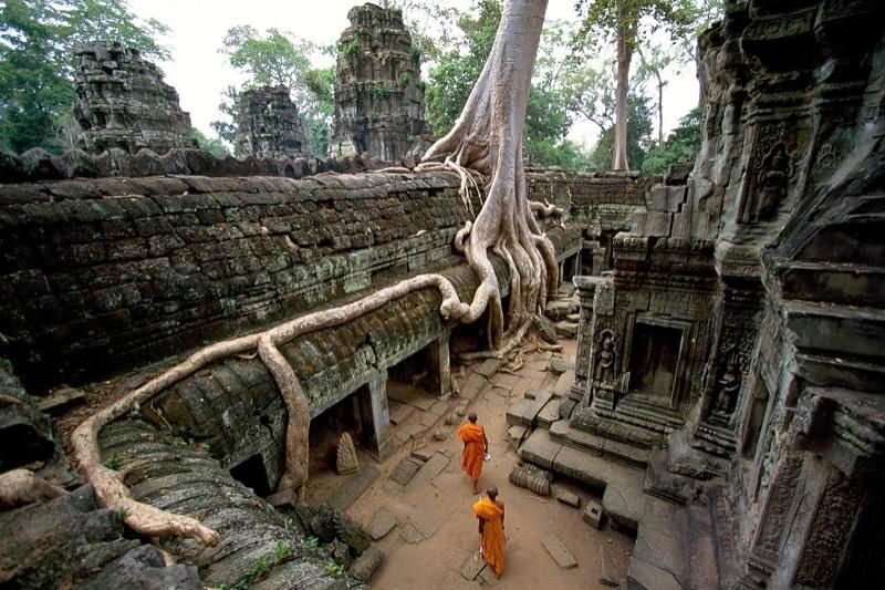 was kann man am ta prohm tempel sehen und tun