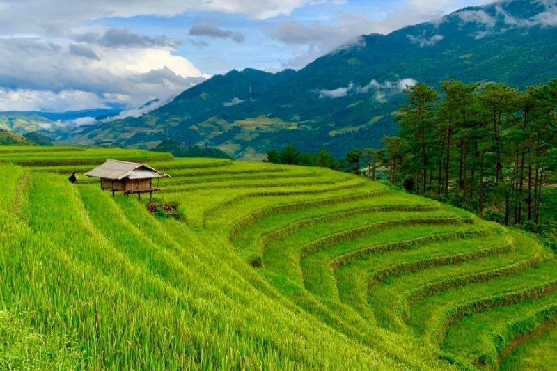 die fotografenroute in mu cang chai - beste reisezeit für vietnam