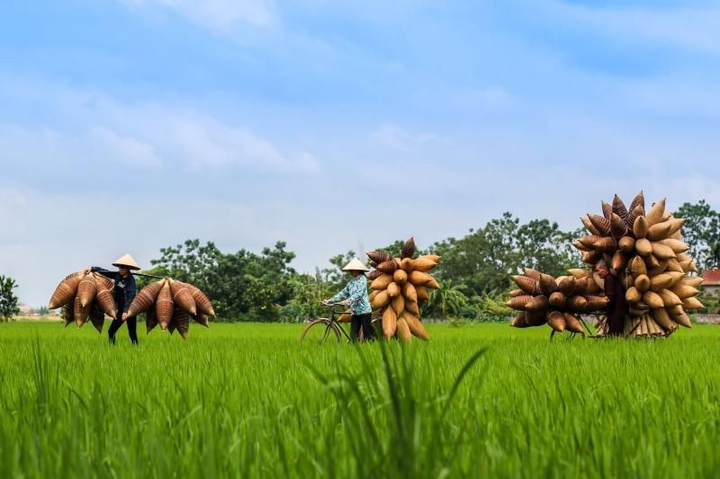 die poesie der traditionellen nordvietnamesischen landschaft