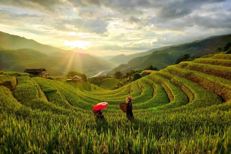 Die wunderschönen Reisterrassen in Mu Cang Chai (Quelle: Giang Hanh Phuc)