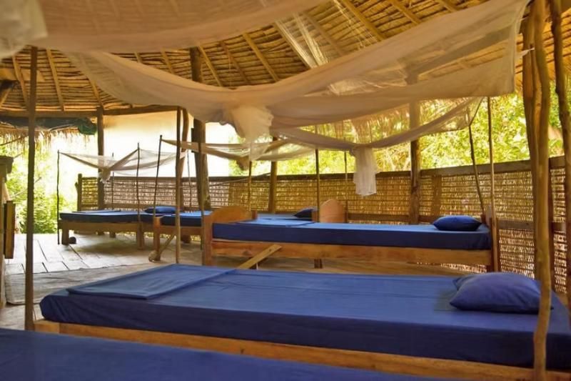 Jungle Dorms – eine preiswerte Option für Reisende, die Geselligkeit und soziale Kontakte suchen. Quelle: kactuscambodia.com