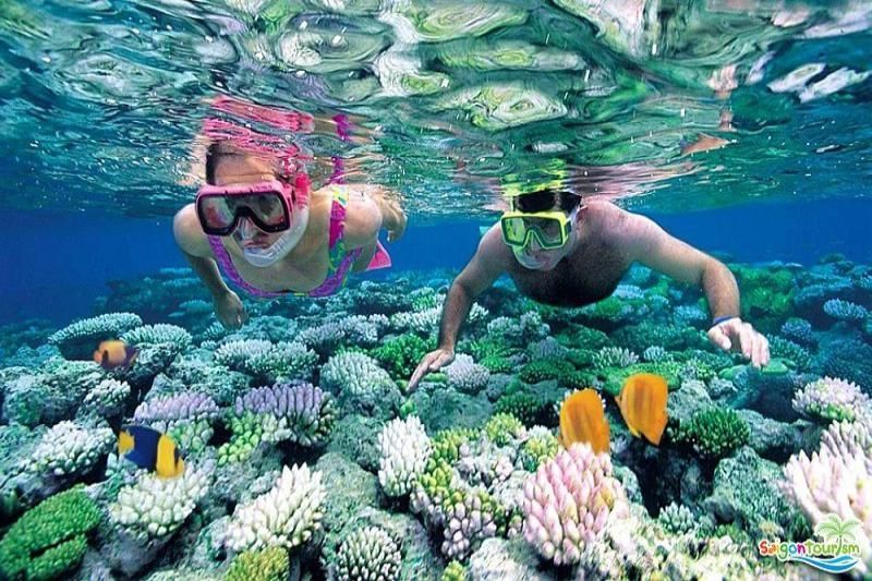 Schnorcheln, um die Korallen zu bewundern, ist ein Muss am Meer. Quelle: vinpearl.com