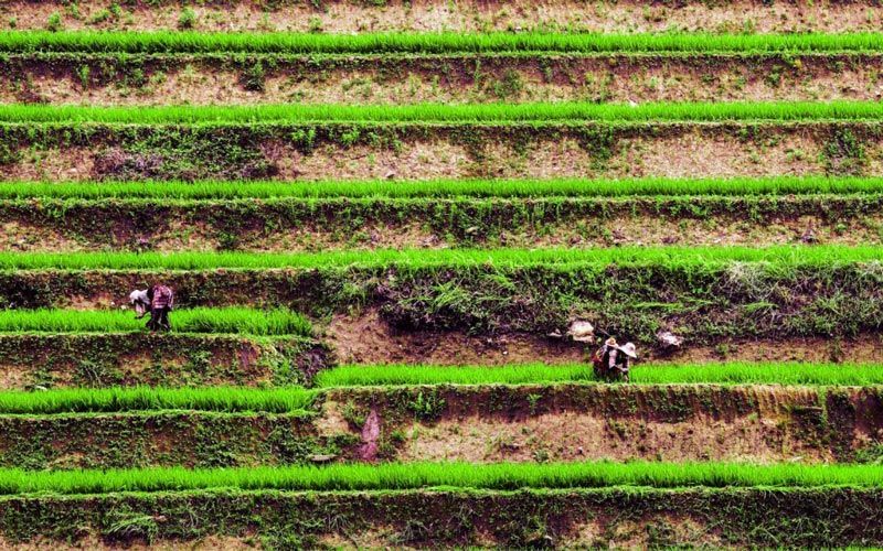 Sapa - Vietnam