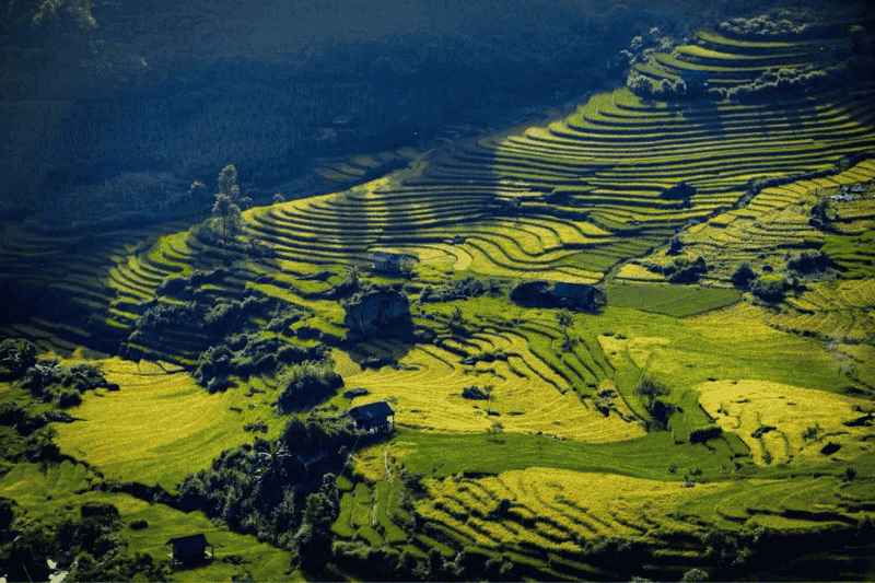 herbst in sapa (quelle aucoeurvietnam)